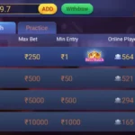 How to Play Andar Bahar on Teen Patti Master